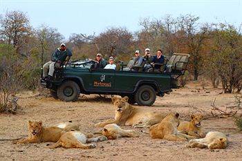 Motswari Private Game Reserve - Timbavati Klaserie Private Nature Reserve Eksteriør bilde