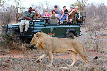 Motswari Private Game Reserve - Timbavati Klaserie Private Nature Reserve Eksteriør bilde