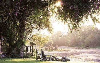 Motswari Private Game Reserve - Timbavati Klaserie Private Nature Reserve Eksteriør bilde