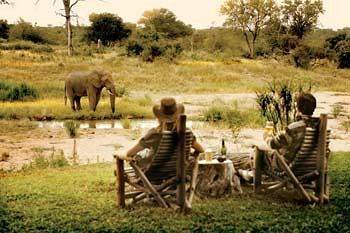 Motswari Private Game Reserve - Timbavati Klaserie Private Nature Reserve Eksteriør bilde